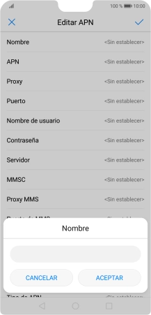 Introduce Vodafone Internet y pulsa ACEPTAR.