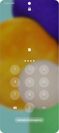 Si lo solicita el teléfono, introduce el código PIN y pulsa OK.