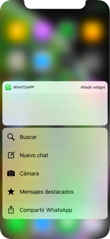 Pulsa la función deseada y sigue las indicaciones de la pantalla para utilizar la función seleccionada.