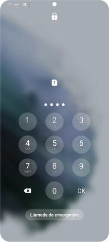 Si lo solicita el teléfono, introduce el código PIN y pulsa OK.