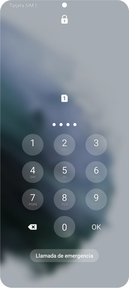Si lo solicita el teléfono, introduce el código PIN y pulsa OK.