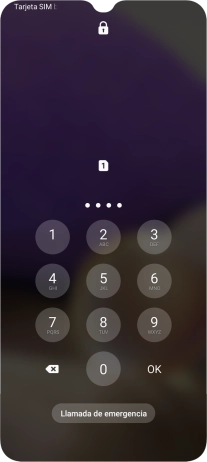 Si lo solicita el teléfono, introduce el código PIN y pulsa OK.