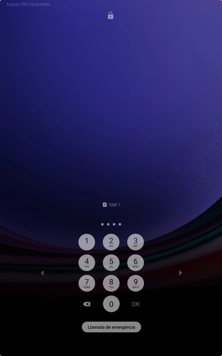 Si es necesario desbloquear la tarjeta SIM, introduce el código PIN y pulsa OK.