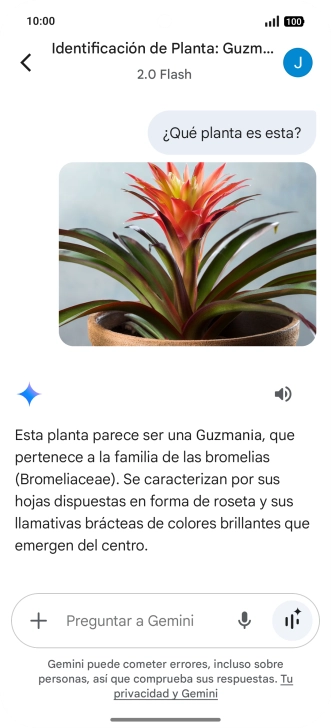 Sigue las indicaciones de la pantalla para escribir o decir en alto la pregunta deseada. Puedes adjuntar fotografías o documentos y hacer preguntas acerca de ellos.