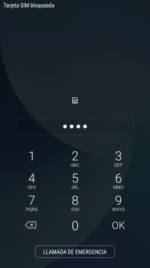 Si lo solicita el teléfono, introduce el código PIN y pulsa OK.