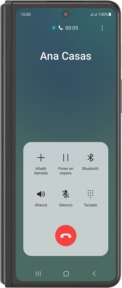 Pulsa el icono de finalizar llamada.