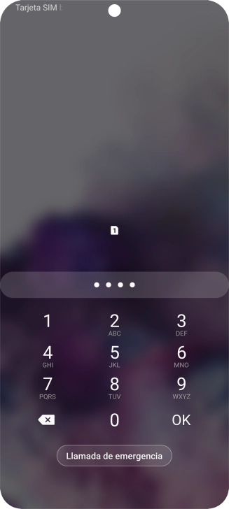 Si lo solicita el teléfono, introduce el código PIN y pulsa OK.