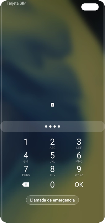 Si lo solicita el teléfono, introduce el código PIN y pulsa OK.
