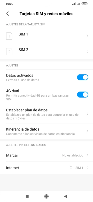 Pulsa Itinerancia de datos.