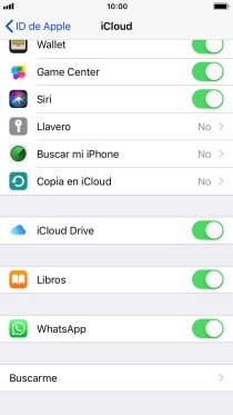 Pulsa Copia en iCloud.