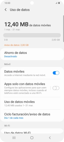 El consumo total de datos se visualiza ahora en la pantalla.