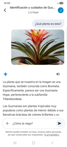 Sigue las indicaciones de la pantalla para escribir o decir en alto más preguntas y continuar la conversación.