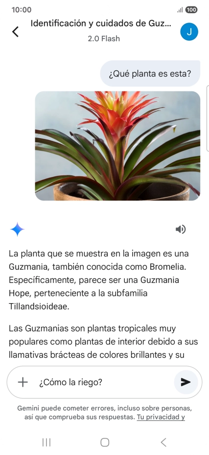 Sigue las indicaciones de la pantalla para escribir o decir en alto más preguntas y continuar la conversación.