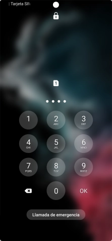 Si lo solicita el teléfono, introduce el código PIN y pulsa OK.