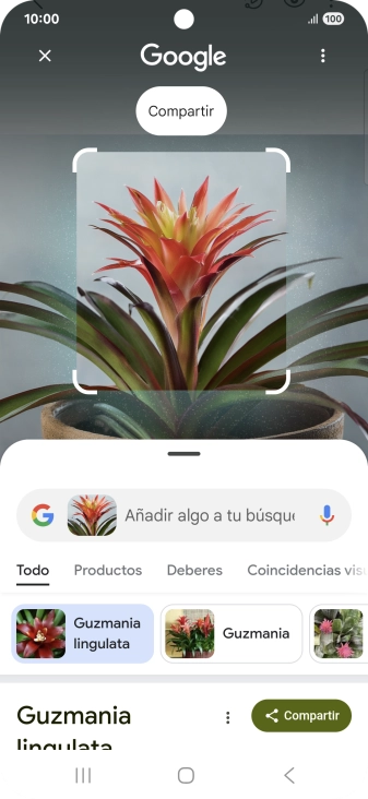 Sigue las indicaciones de la pantalla para utilizar los resultados de búsqueda.