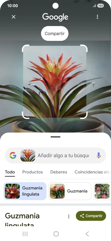 Sigue las indicaciones de la pantalla para utilizar los resultados de búsqueda.