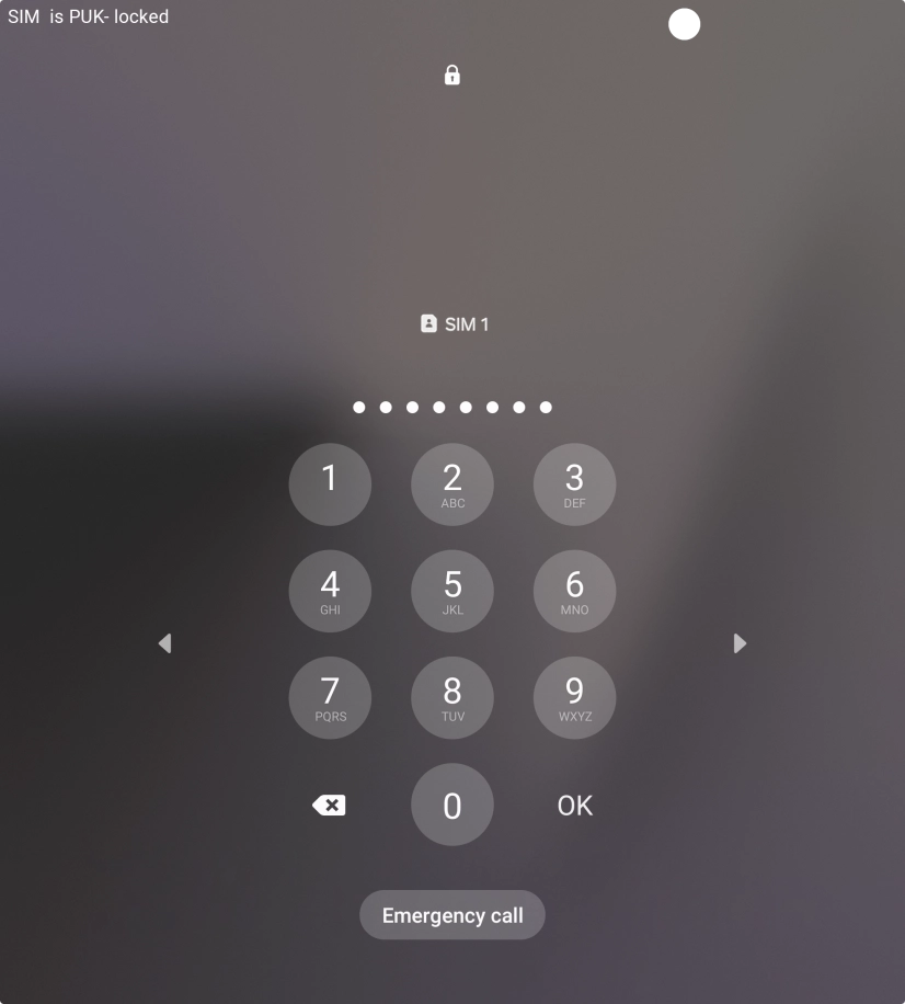 Key in the PUK and press OK.