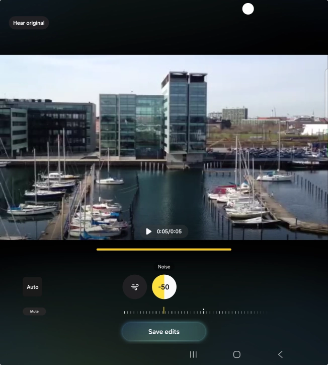 Press Mute to completely remove the selected audio type from the video.