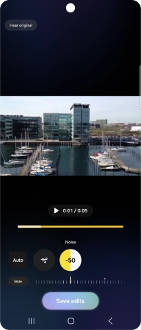 Press Mute to completely remove the selected audio type from the video.