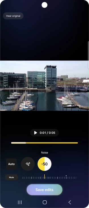 Press Mute to completely remove the selected audio type from the video.