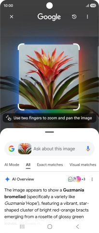 Follow the instructions on the screen to use the search results.