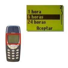 6 horas