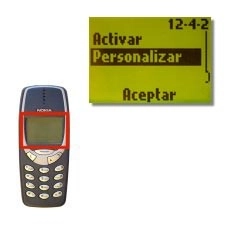 Elija Personalizar y pulse Aceptar.