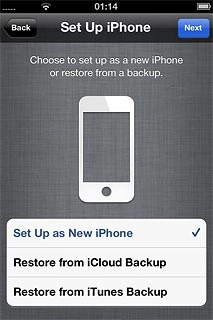Press Set Up as New iPhone.