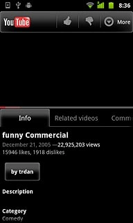 Start playing the required video clip, see above.Press More.