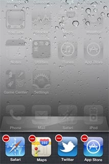 Press - at the top left corner of the required menu item to end the application.