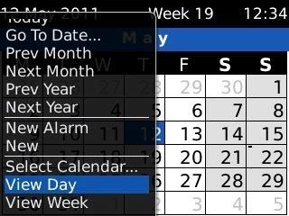Highlight one of the following views (depending on the current view):View Day