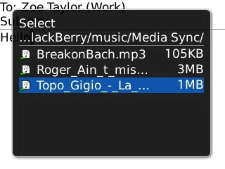 Highlight the required audio file and press the Navigation key.