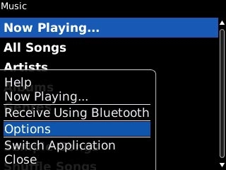 Highlight Options and press the Navigation key.