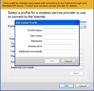 Click the field next to Profile Name and key in Vodafone Internet