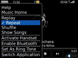 When the menu item is ticked (V), the function is turned on.