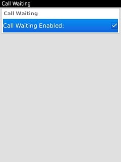 When the box next to the menu item is ticked (V), the function is turned on.