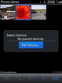 If you select Pair Device...: