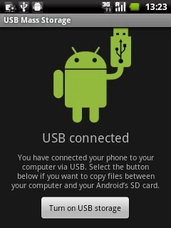 Press Turn on USB storage.