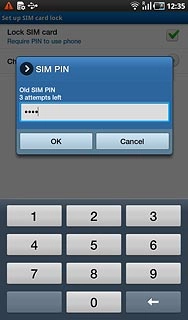 Key in your current PIN and press OK.