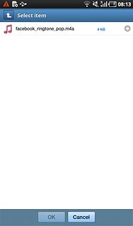 Press the field next to the required audio file.