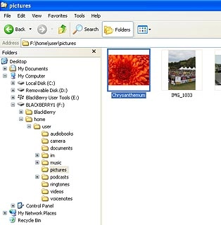 Highlight the required file and move or copy it to your phone.