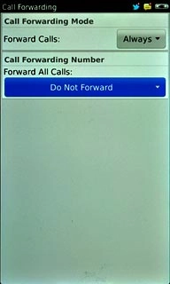 Press Forward All Calls.