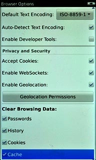 When the box next to the menu item is ticked (V), it's selected.