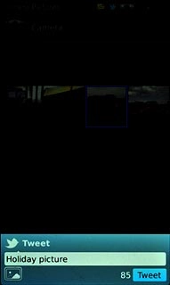 Key in text for the picture.Press Tweet.