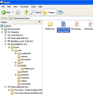 Highlight the required audio file and move or copy it to your phone.
