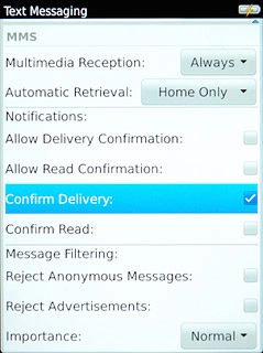 When the box next to the menu item is ticked (V), the function is turned on.