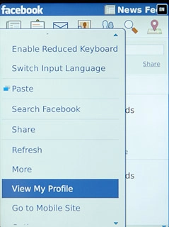 Press View My Profile.