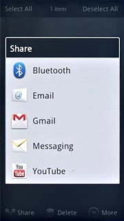 Press one of the following options:Email, go to 3a.