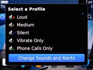 Scroll to Change Sounds and Alerts and press the Navigation key.