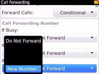 Scroll to New Number... and press the Navigation key.